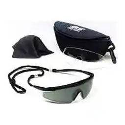 Walmart Interchangeable Sunglasses offer