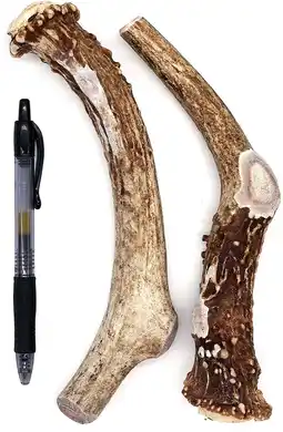 Walmart Perfect Pet Chews - Deer Antler Chew For Dogs - Large Treat - 2-Count offer