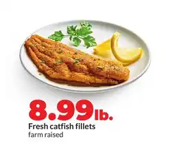 Hy-Vee Fresh catfish fillets offer