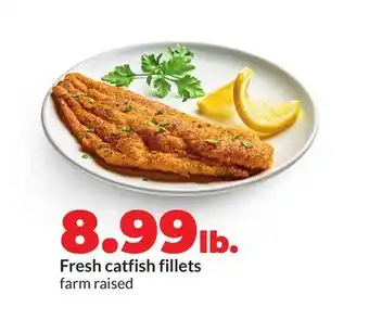 Hy-Vee Fresh catfish fillets offer