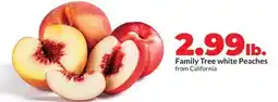 Hy-Vee Family Tree white Peaches offer
