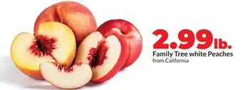 Hy-Vee Family Tree white Peaches offer