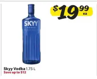 Winn Dixie Skyy Vodka offer