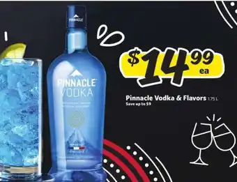 Winn Dixie Pinnacle Vodka & Flavors offer