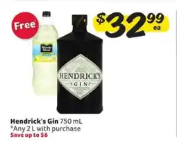 Winn Dixie Hendrick's Gin offer