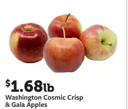 Fareway Washington cosmic crisp & gala apples offer