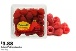 Fareway Driscoll's raspberries offer
