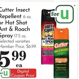 Pavilions Cutter Insect Repellent 6 oz. or Hot Shot Ant & Roach Spray 17.5 oz offer