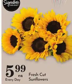 Pavilions Fresh Cut Sunflowers offer