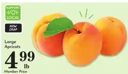 Pavilions Large Apricots offer