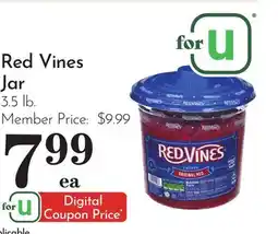Pavilions Red Vines Jar offer