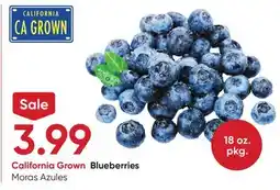 Stater Bros Blueberries offer