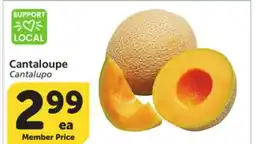 Vons Cantaloupe offer