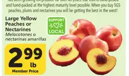 Vons Large Yellow Peaches or Nectarines offer