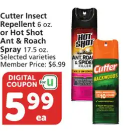 Vons Cutter Insect Repellent 6 oz. or Hot Shot Ant & Roach Spray 17.5 oz offer
