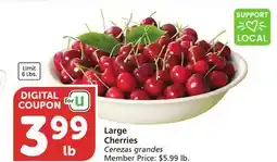 Albertsons Large Cherries offer