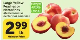 Albertsons Large Yellow Peaches or Nectarines offer