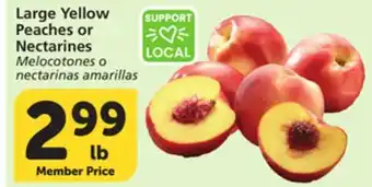 Albertsons Large Yellow Peaches or Nectarines offer