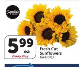 Albertsons Fresh Cut Sunflowers offer