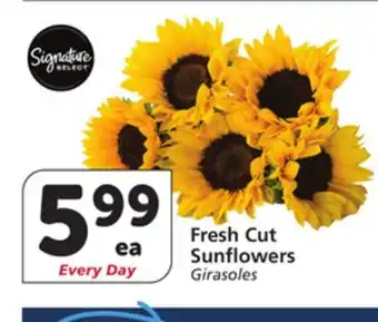Albertsons Fresh Cut Sunflowers offer
