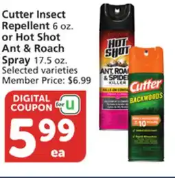 Albertsons Cutter Insect Repellent 6 oz. or Hot Shot Ant & Roach Spray 17.5 oz offer