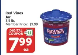 Albertsons Red Vines Jar offer