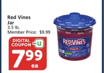 Albertsons Red Vines Jar offer