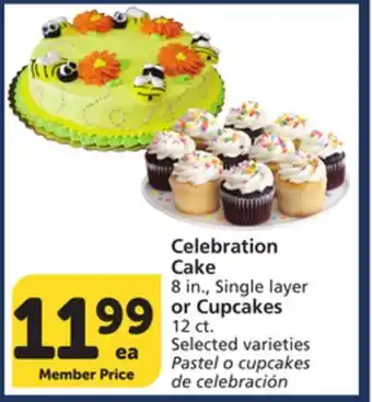 Albertsons Celebration Cake 8 in., Single layer or Cupcakes 12 ct offer