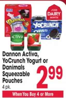 Jewel-Osco Dannon Activa, YoCrunch Yogurt or Danimals Squeezable Pouches offer