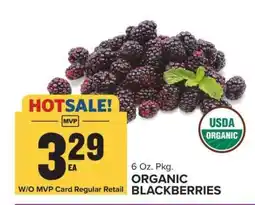 Food Lion Organic Blackberries offer
