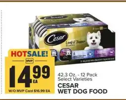 Food Lion Cesar Wet Dog Food offer
