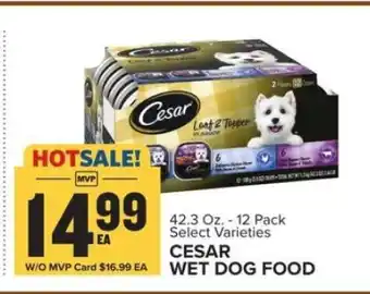 Food Lion Cesar Wet Dog Food offer