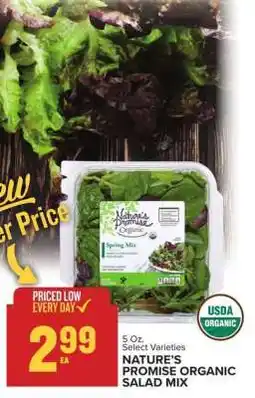 Food Lion Nature's Promise Organic Salad Mix offer