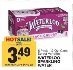 Food Lion Waterloo Sparkling Water offer