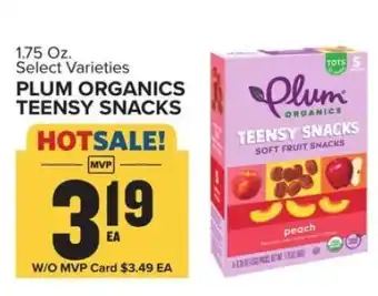 Food Lion PLUM ORGANICS TEENSY SNACKS offer