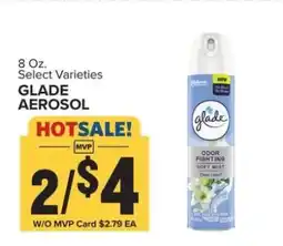 Food Lion Glade Aerosol offer