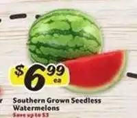 Winn Dixie Southern Grown Seedless Watermelons offer