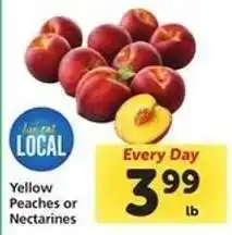 Safeway Yellow Peaches or Nectarines offer