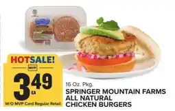 Food Lion Springer Mountain Farms All Natural Chicken Burgers offer