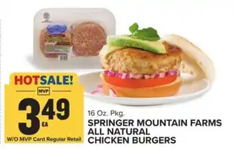 Food Lion Springer Mountain Farms All Natural Chicken Burgers offer