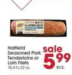 Giant Eagle Hatfield Seasoned Pork Tenderloins or Loin Filets offer