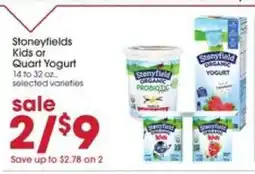 Giant Eagle Stoneyfields Kids or Quart Yogurt offer