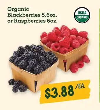 Sprouts Farmers Market Organic Blackberries 5.6 oz. or Raspberries 6 oz offer