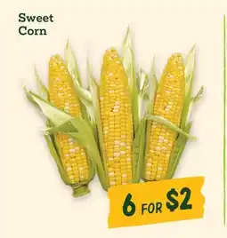 Sprouts Farmers Market Sweet Corn offer