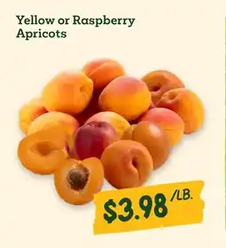 Sprouts Farmers Market Yellow or Raspberry Apricots offer