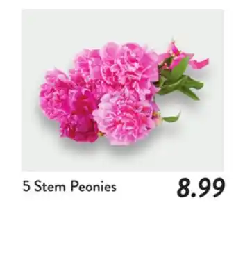 Fresh Thyme 5 Stem Peonies offer