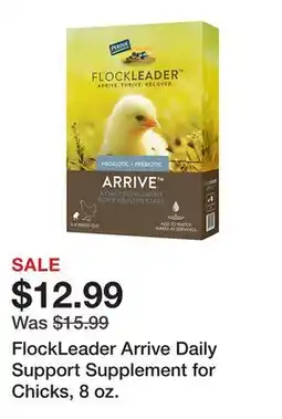 Tractor Supply Company FlockLeader Arrive Daily Support Supplement for Chicks, 8 oz offer