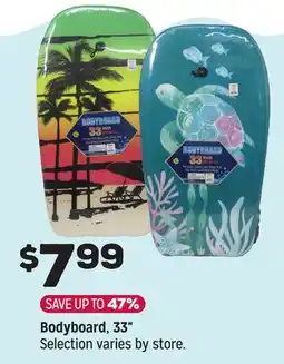 Grocery Outlet Bodyboard, 33 offer