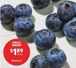 Aldi Blueberries offer