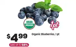 Grocery Outlet Organic Blueberries, 1 pt offer
